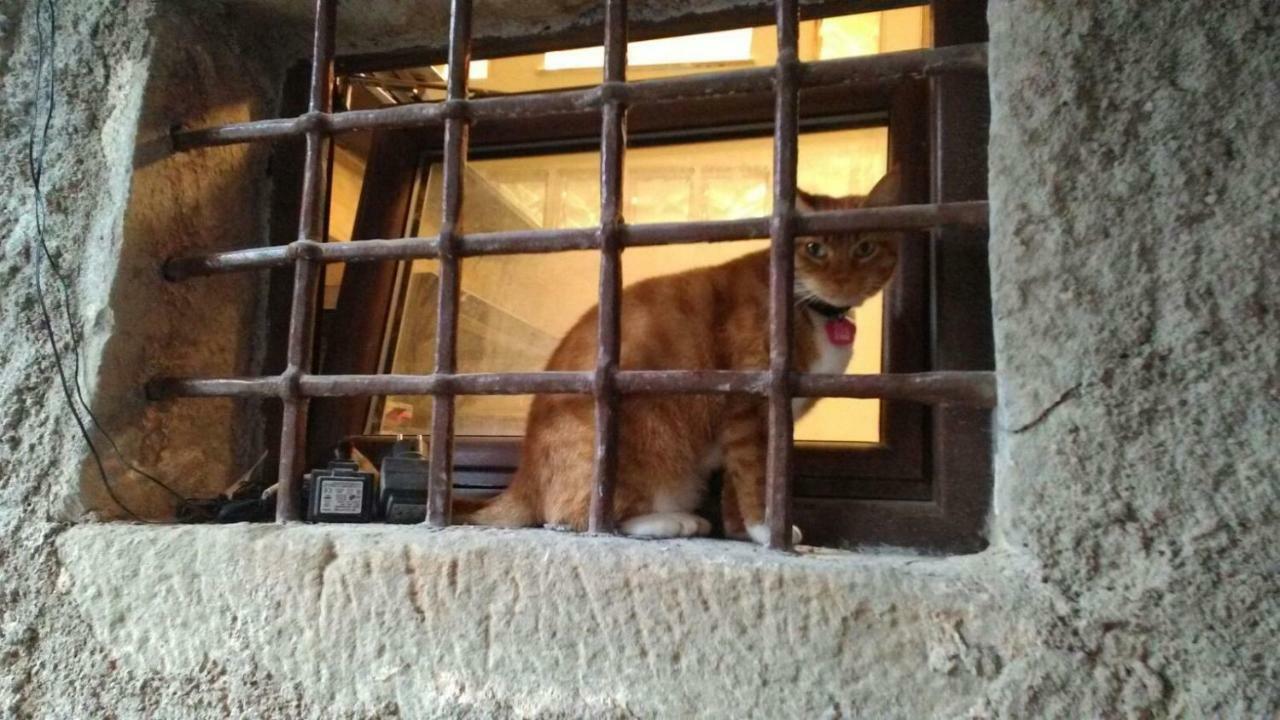 ריקו דל גולפו די ספאציה L'Arco Di Sersa מראה חיצוני תמונה